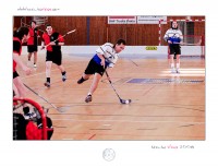 /album/sezona-07-08/a03-jpg1/